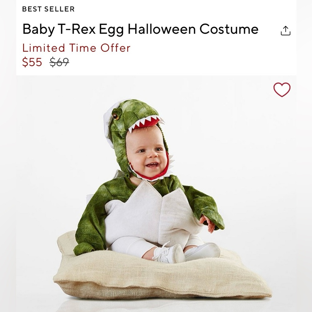 Pottery Barn Dinosaur Egg Costume